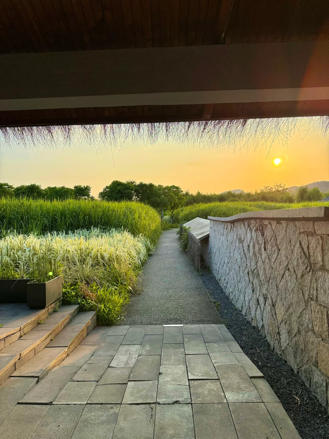 live图｜我好像走进了宫崎骏的夏天