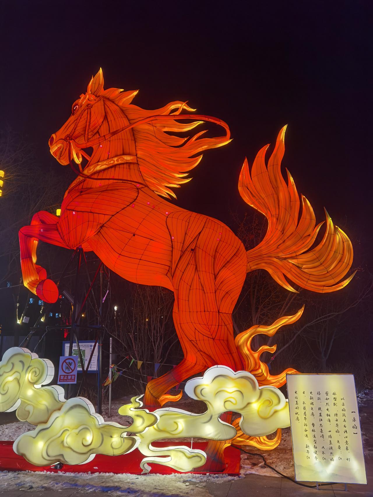 2026，充实有趣，美丽有光，吉祥如意！新年好！