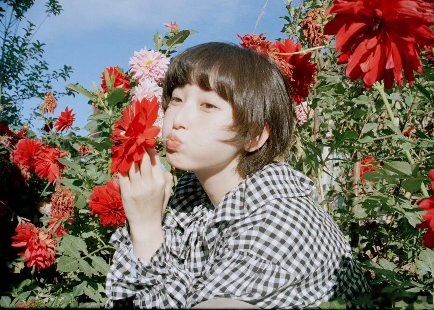 「你的世界一幕幕纷飞🎞️」 ​​​摄影：​​​