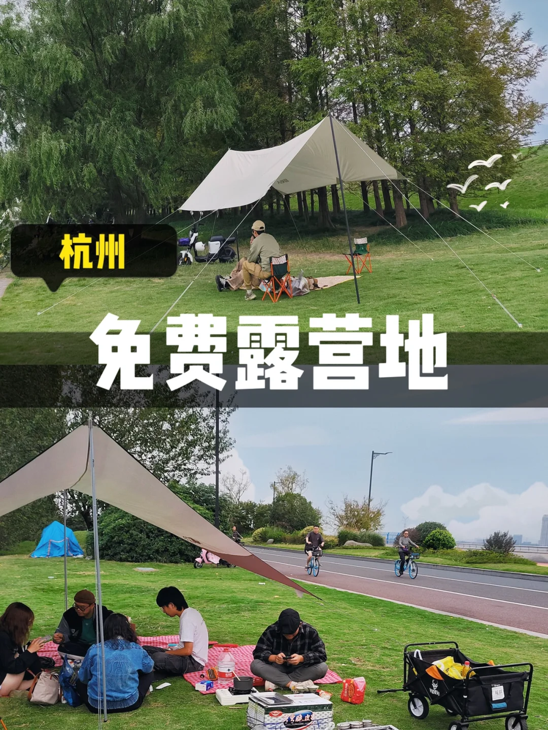 杭州免费露营好去处！露营届的天花板‼️