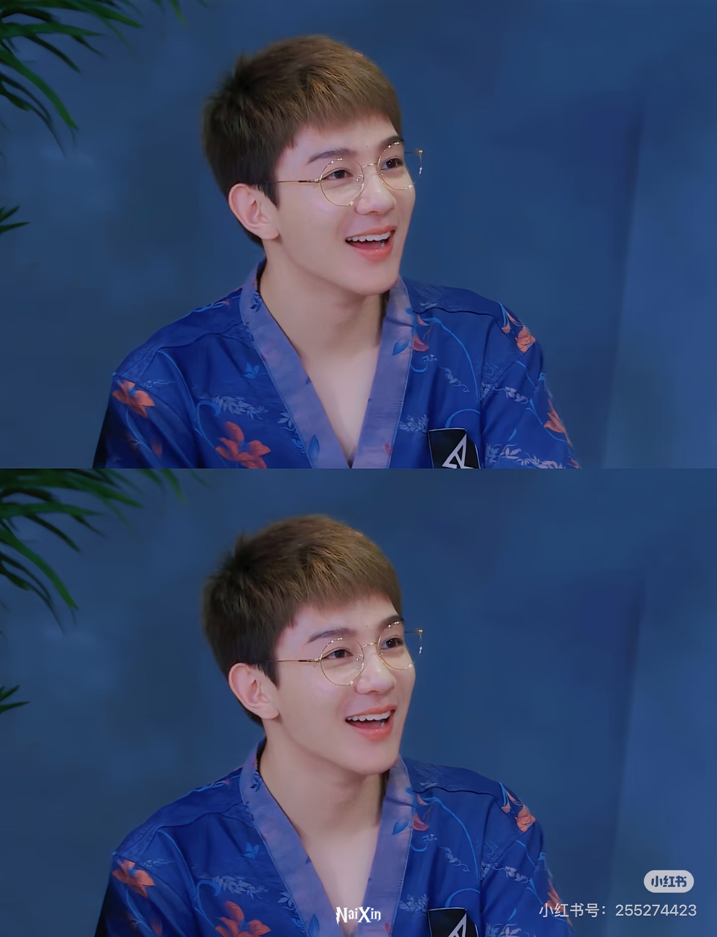 当初我就是因为这个入坑的一眼挑中人群中最乖的小狗🐶cr.🍠 