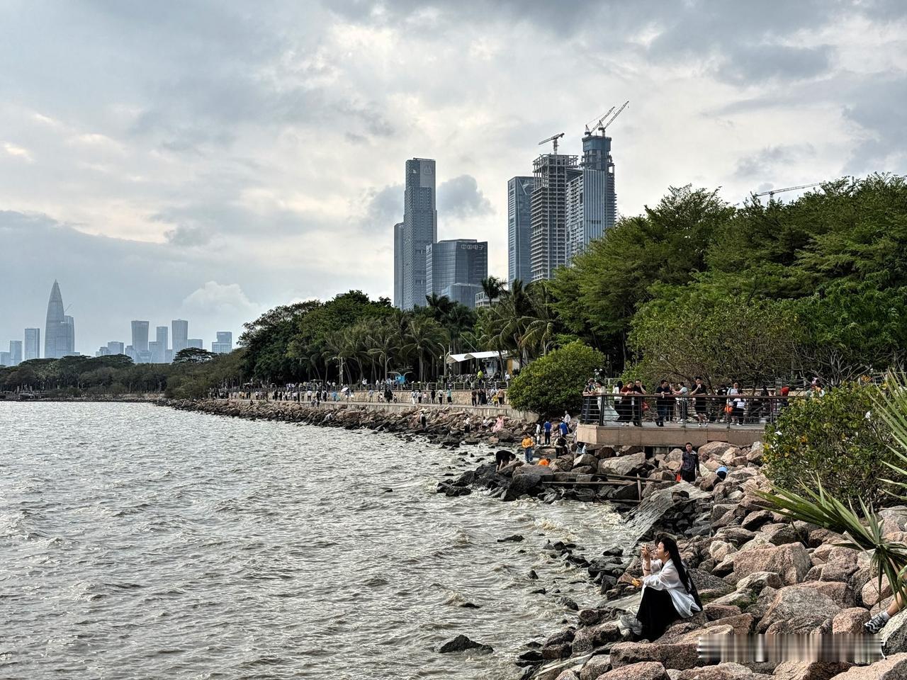 深圳湾的海鸥和野鸭子飞走啦，还挺让人失落的。之前去深圳湾，总能看到成群的海鸥在空