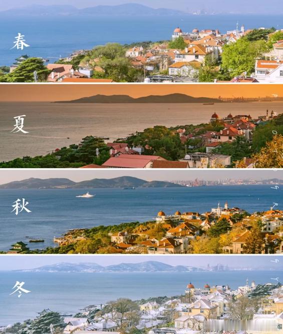 余额宝真帮文旅把明星摇来了青岛土著在线祝各位年年有余！欢迎来我们大青岛——来这哈