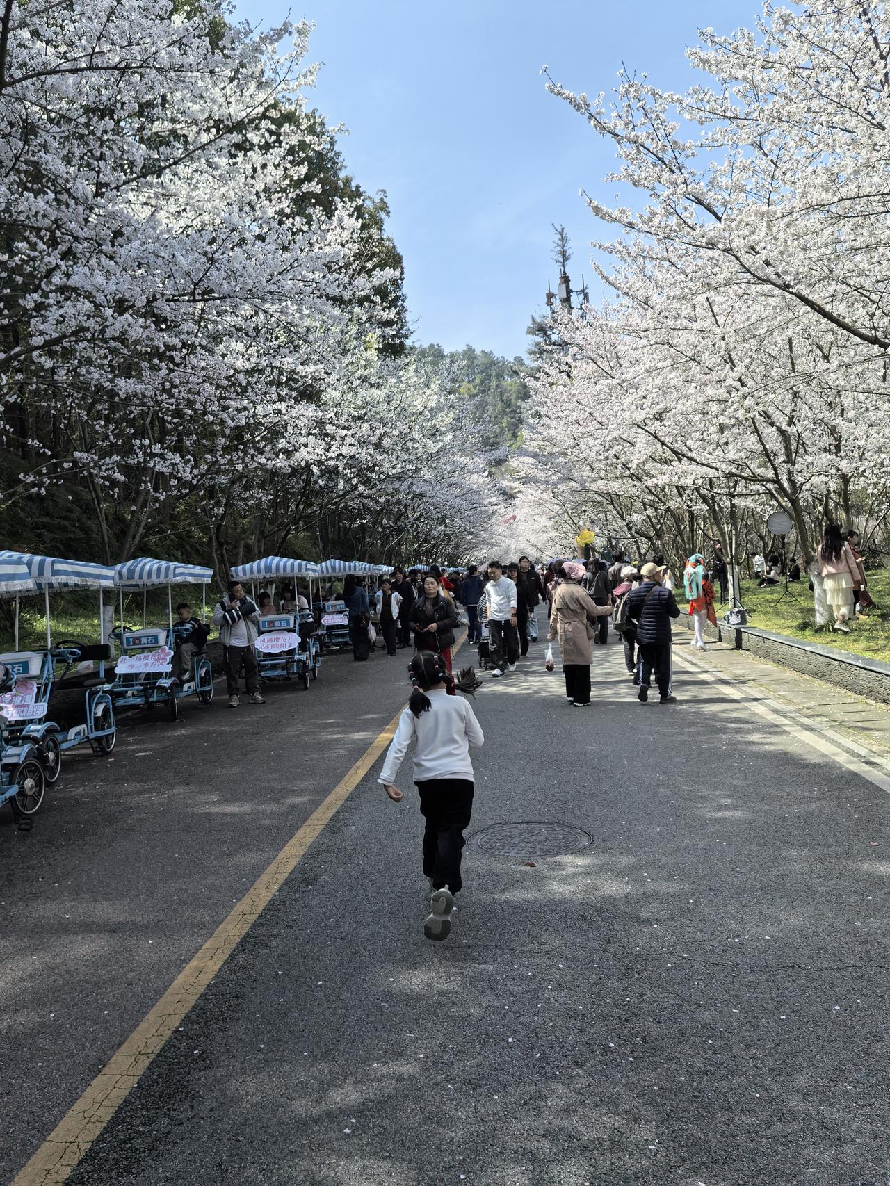 17条“红线”靶向整治物业服务，这事儿太有必要了！现在很多小区的物业服务那真是一