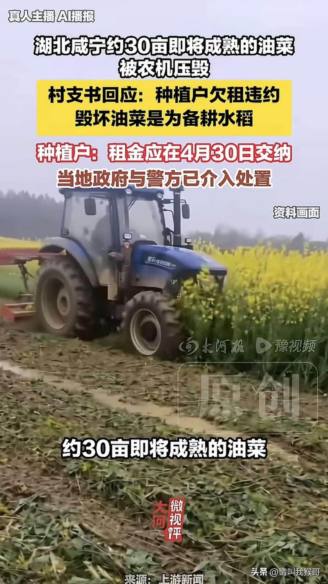 发一张新闻截图，晚安！！