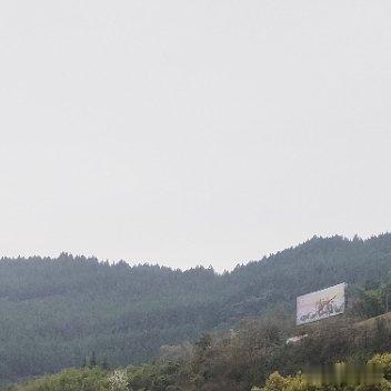 我儿子今年五岁，前几天幼儿园让画“最喜欢的人”。他画了三个人：爸爸、妈妈，还有我