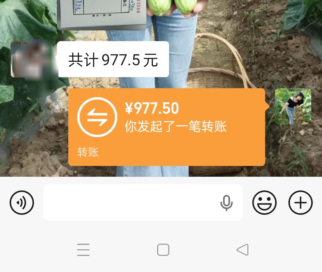 在深圳这个大城市。一个人生活，一个月到底要多少开支呢？每个月固定的房租费，大概1