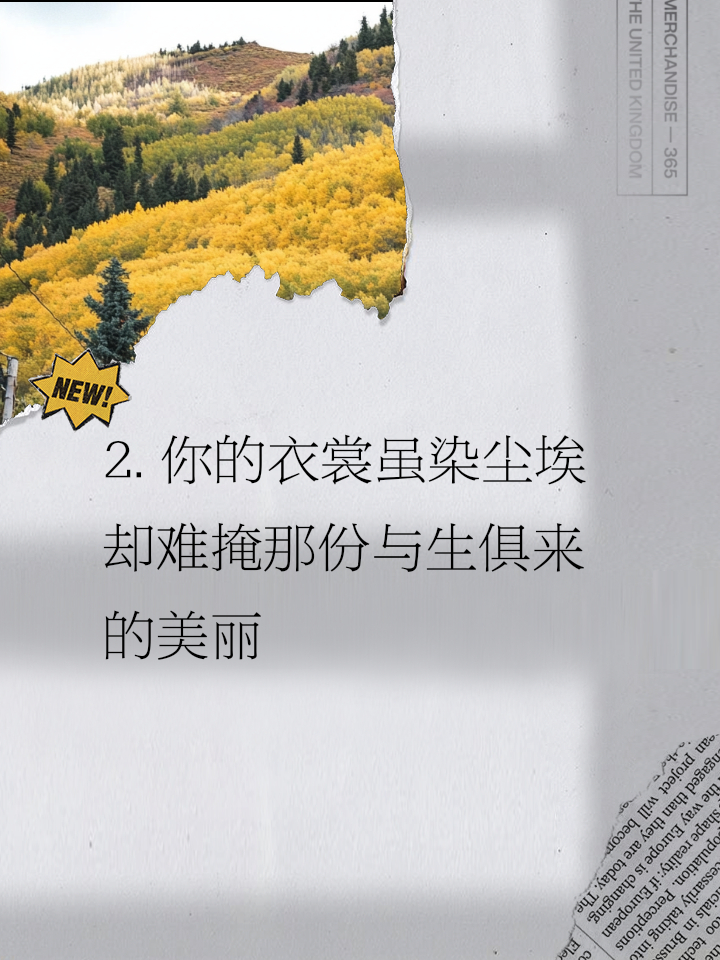 这个季节家里全是微脏的衣服 即便衣衫染尘, 你的风采依旧, 美得不落俗套。高情商