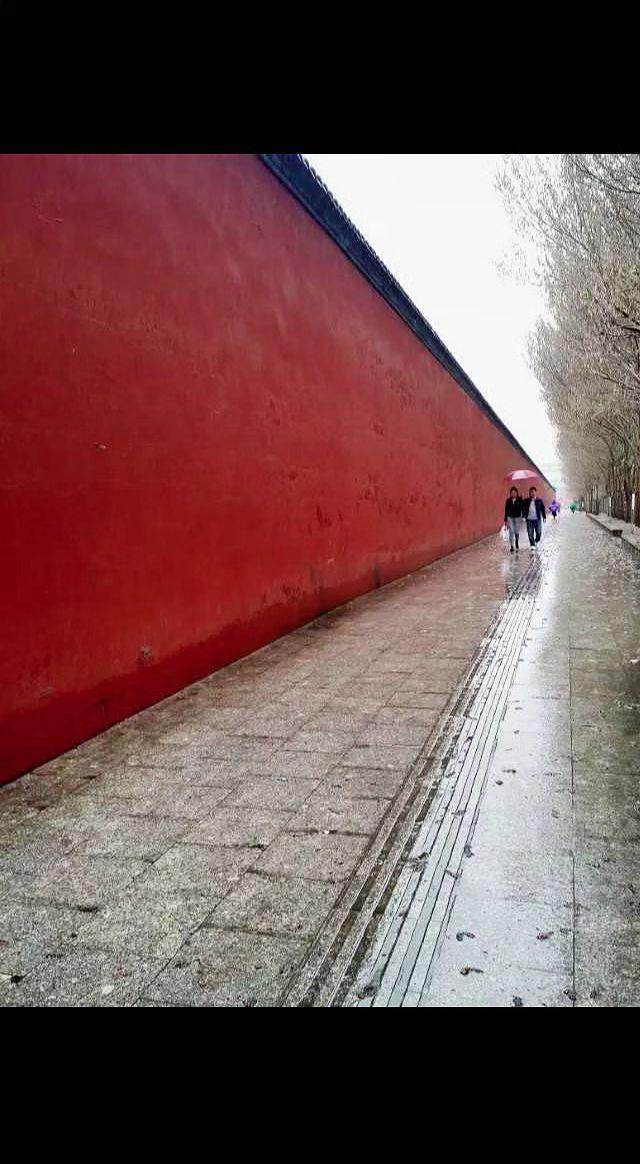 🌧️红墙如历史沉默，雨珠在石板上写诗。伞下人影是流动的逗号，留白处藏着千年故事