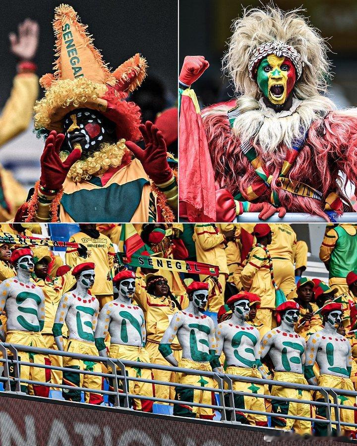 塞内加尔球迷🇸🇳🥶非洲杯