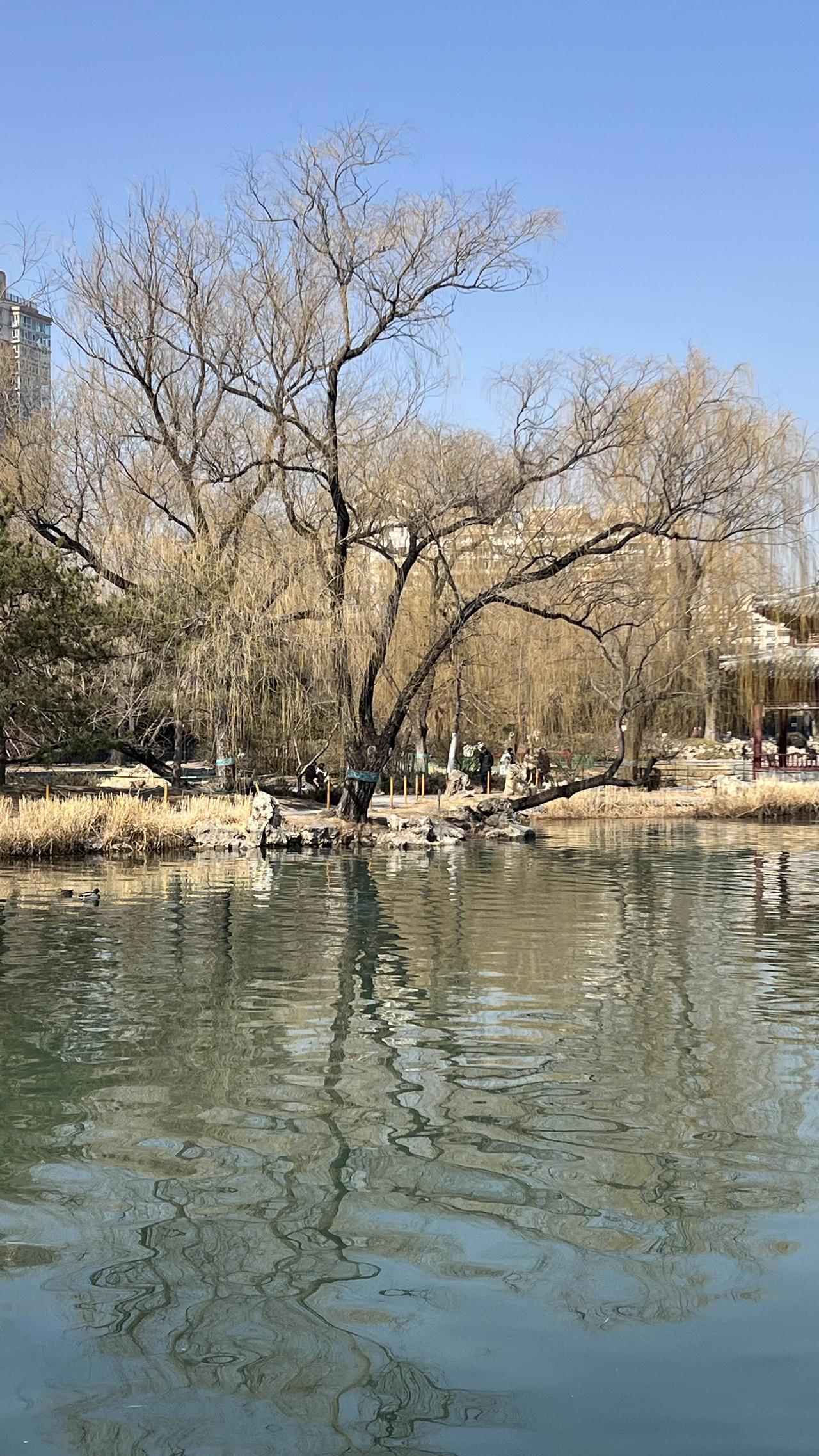 分享一下你随手拍下的照片