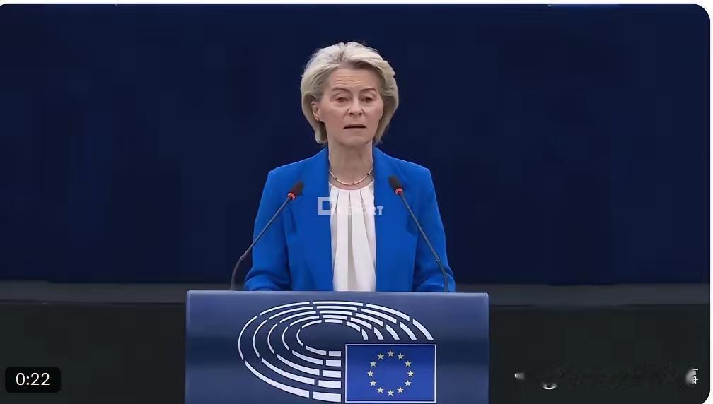 冯德莱恩最近隔空向特朗普喊话，那番说辞听起来真是味道复杂。她说盟友之间要是内斗起