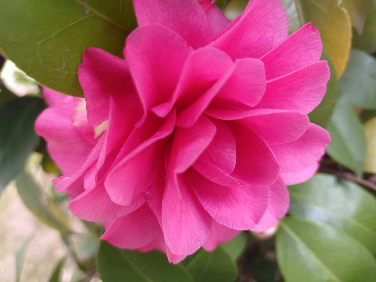 你喜欢江南水乡还是北方的银装素裹