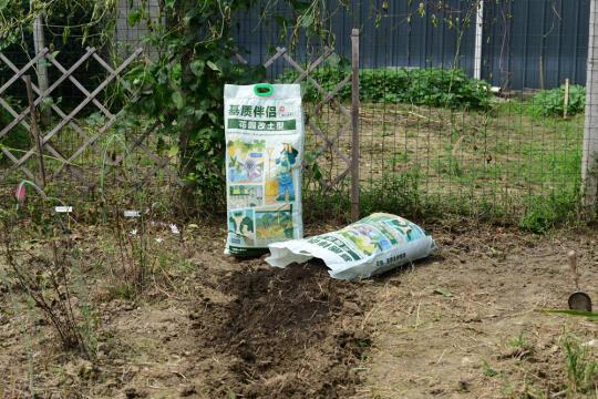 花园改土 让园子焕发生机