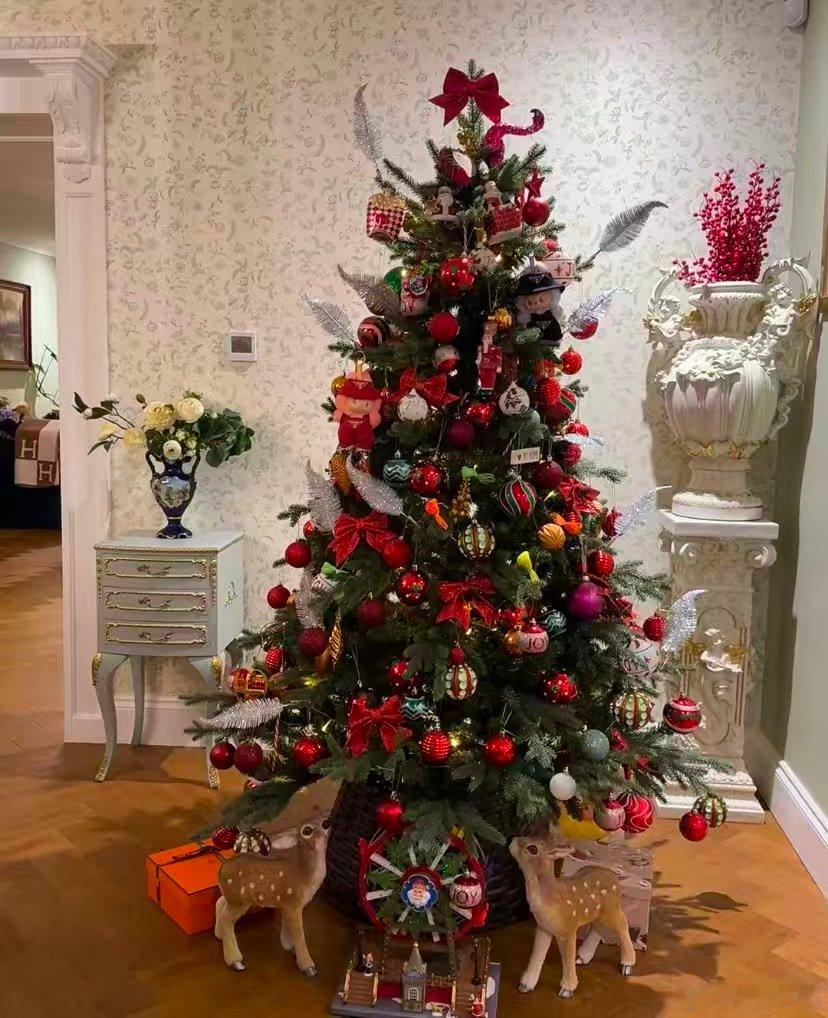 万物皆可圣诞树谁能拒绝自带地域buff的圣诞树？特色元素玩出花，颜值与创意双在线