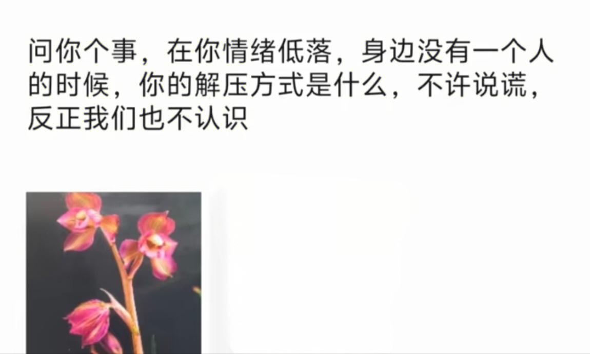 当你情绪低落，身边没有一个人的时候，你的解压方式是什么？不许说谎。
来看看大家的