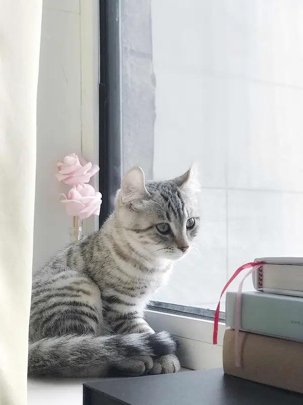 如何看待张雪峰直播使用污言秽语被禁言
张雪峰直播用污言秽语被禁言这事闹得挺大。1