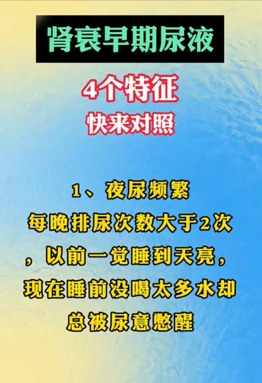 夜尿多、泡沫尿不断？留意肾脏健康状况？