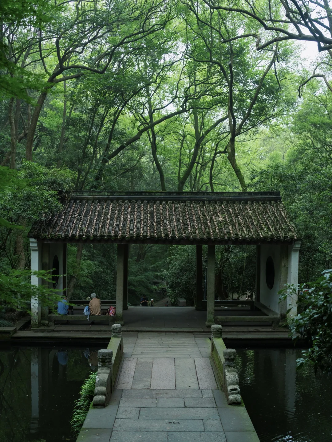 建议能量低的人都去杭州这个公园逛逛🌳