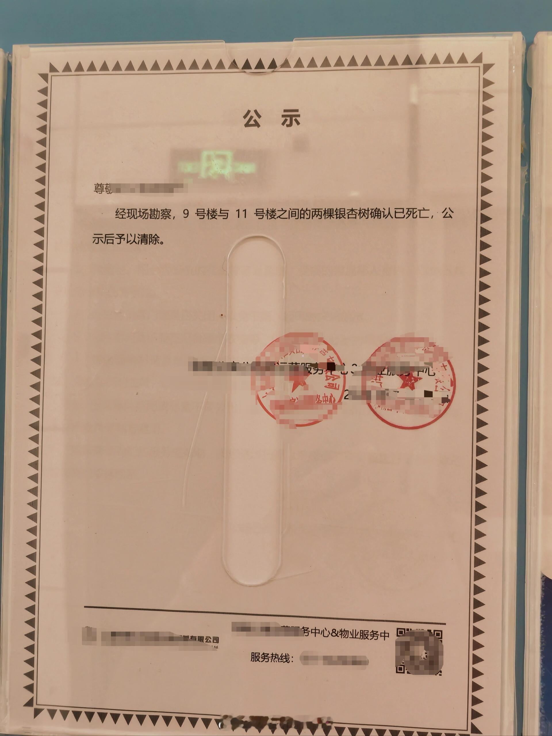 ✉️：小区热死了两棵树也要公示电梯口发现物业贴的公示，奇怪的是第一眼看到的居然是