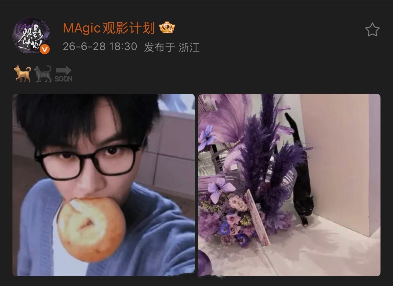 原来是贝狗和小黑猫啊