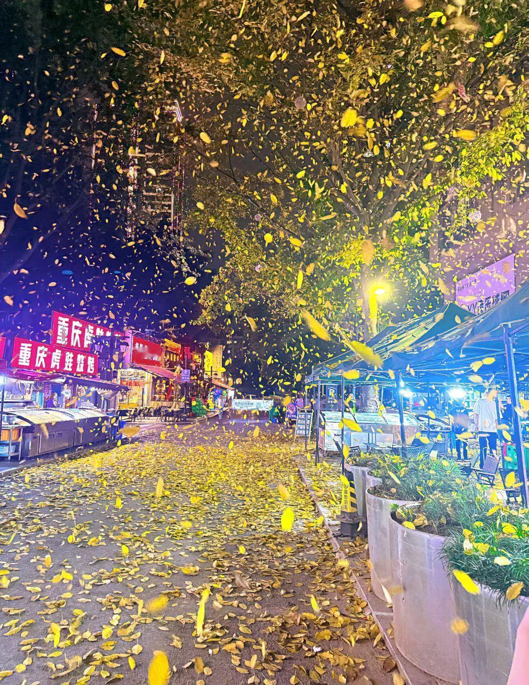 简单慢跑一下，6Km晚上吃好了，楼下溜两圈重庆真是的神奇的地方，一边嫩叶发芽，绿