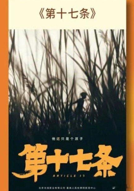 电影《第十七条》将亮相北京国际电影节推介，有望今年暑假上映，敬请期待编剧、导演：