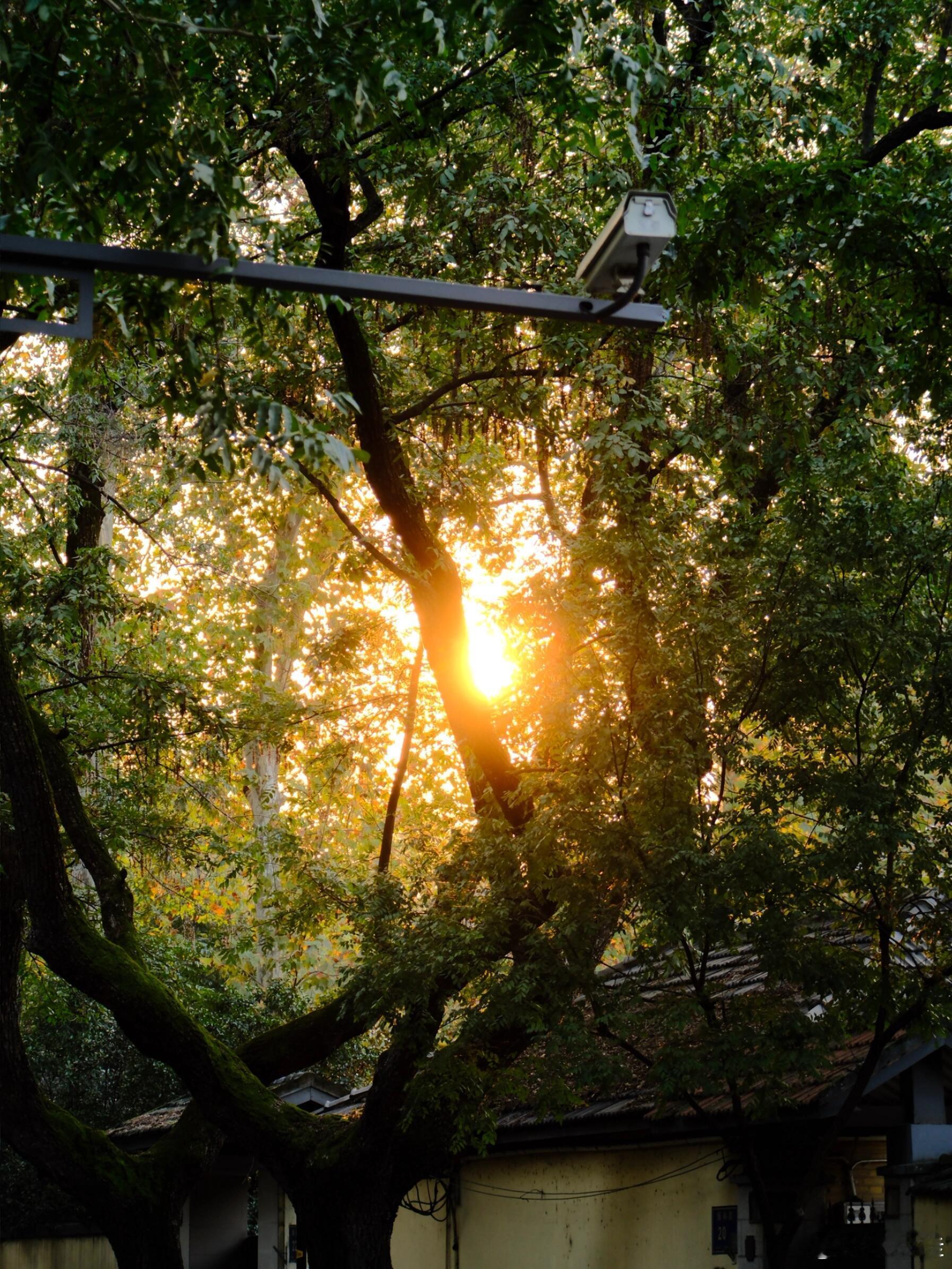 你要相信，世上总有一个人愿意用朴素的方式爱你，不是撩，也不是套路，就是那种单纯的