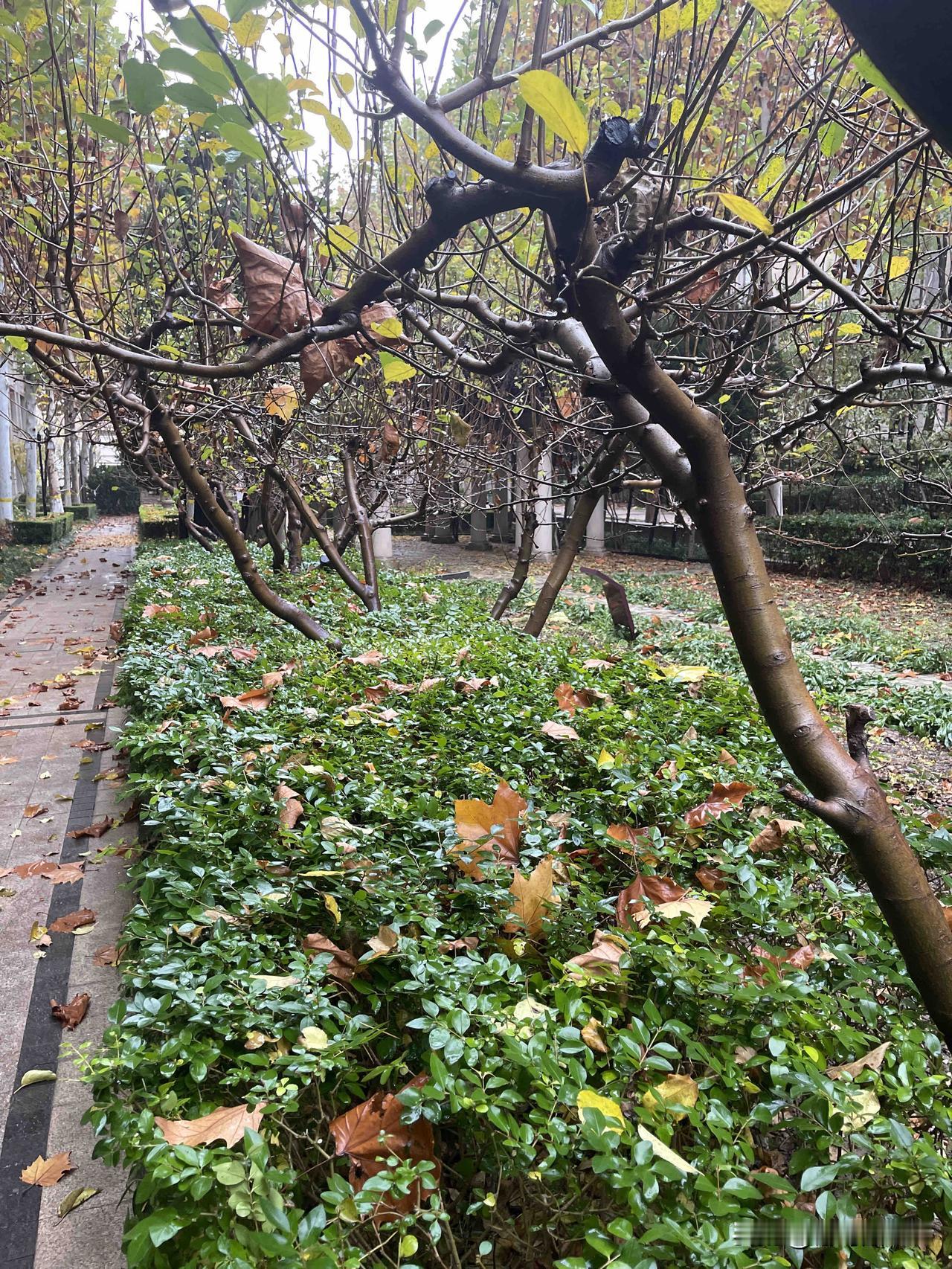 世界上只要有战争……就能看到大国的影子！
所以，任何战争，都不是小国的事，都是大