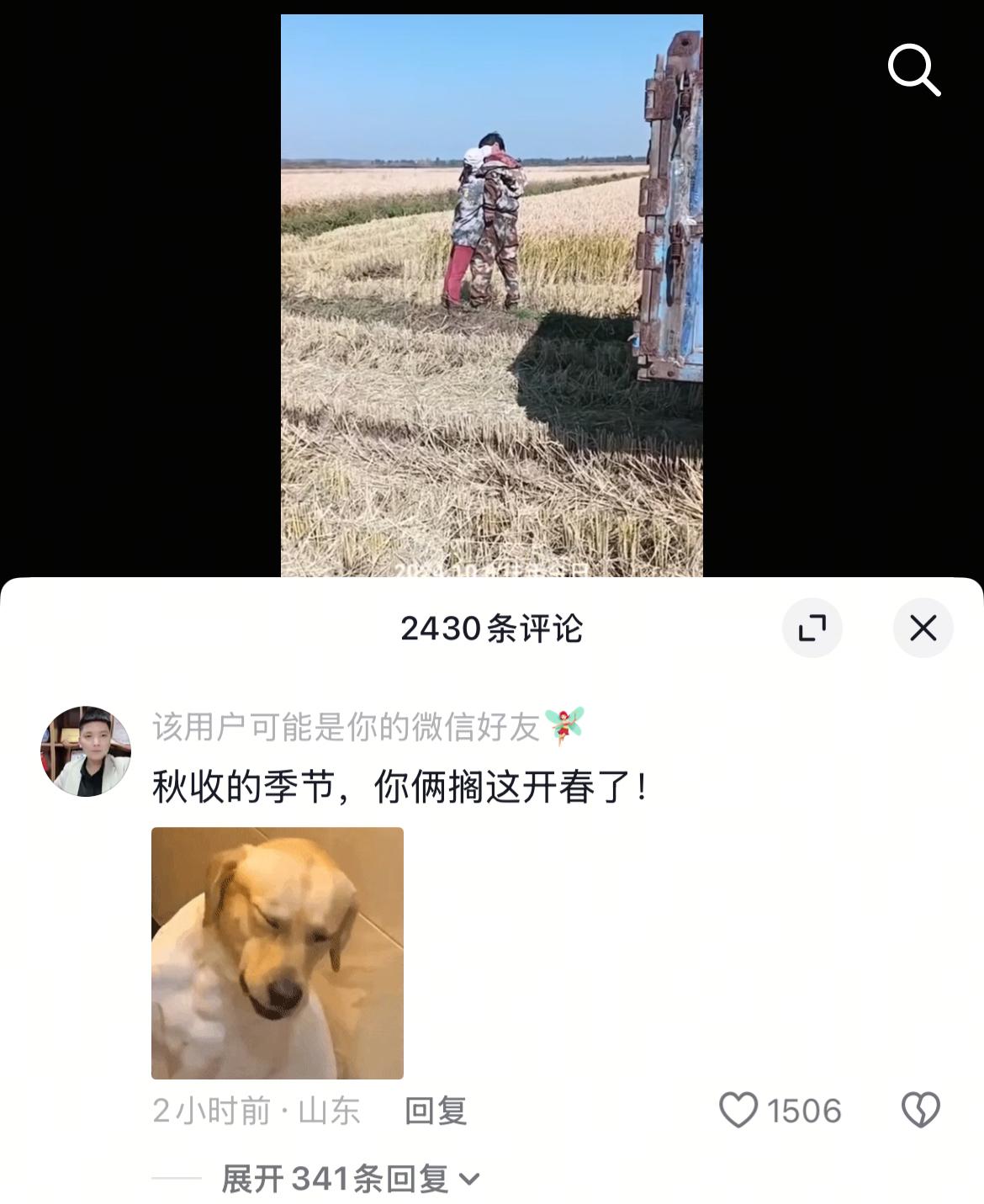 秋收的季节，你俩在这儿干嘛呢？