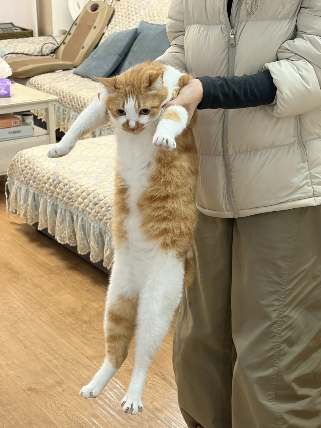 妈妈节日快乐！怀民我带走啦！