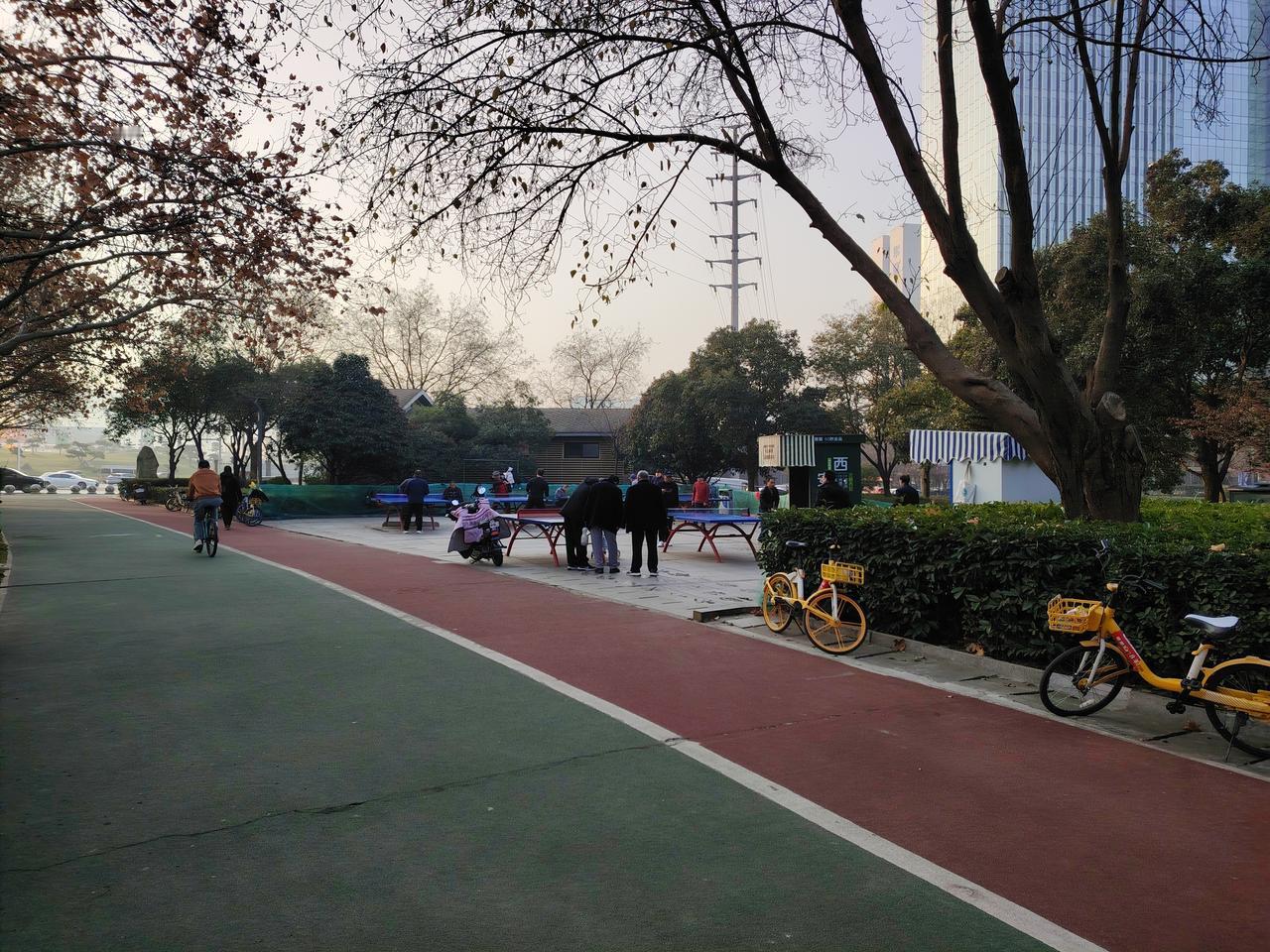 我刚毕业时，觉得当老师是世上最痛苦的事。在乡党眼里，只有不爱劳动、懒惰之人，才会