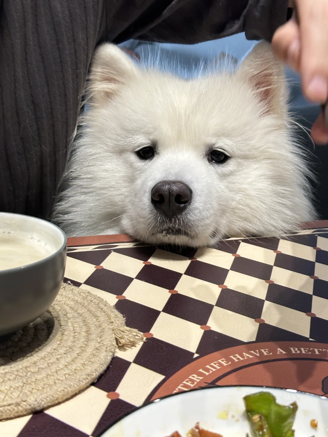 姨姨们~吃饭了吗