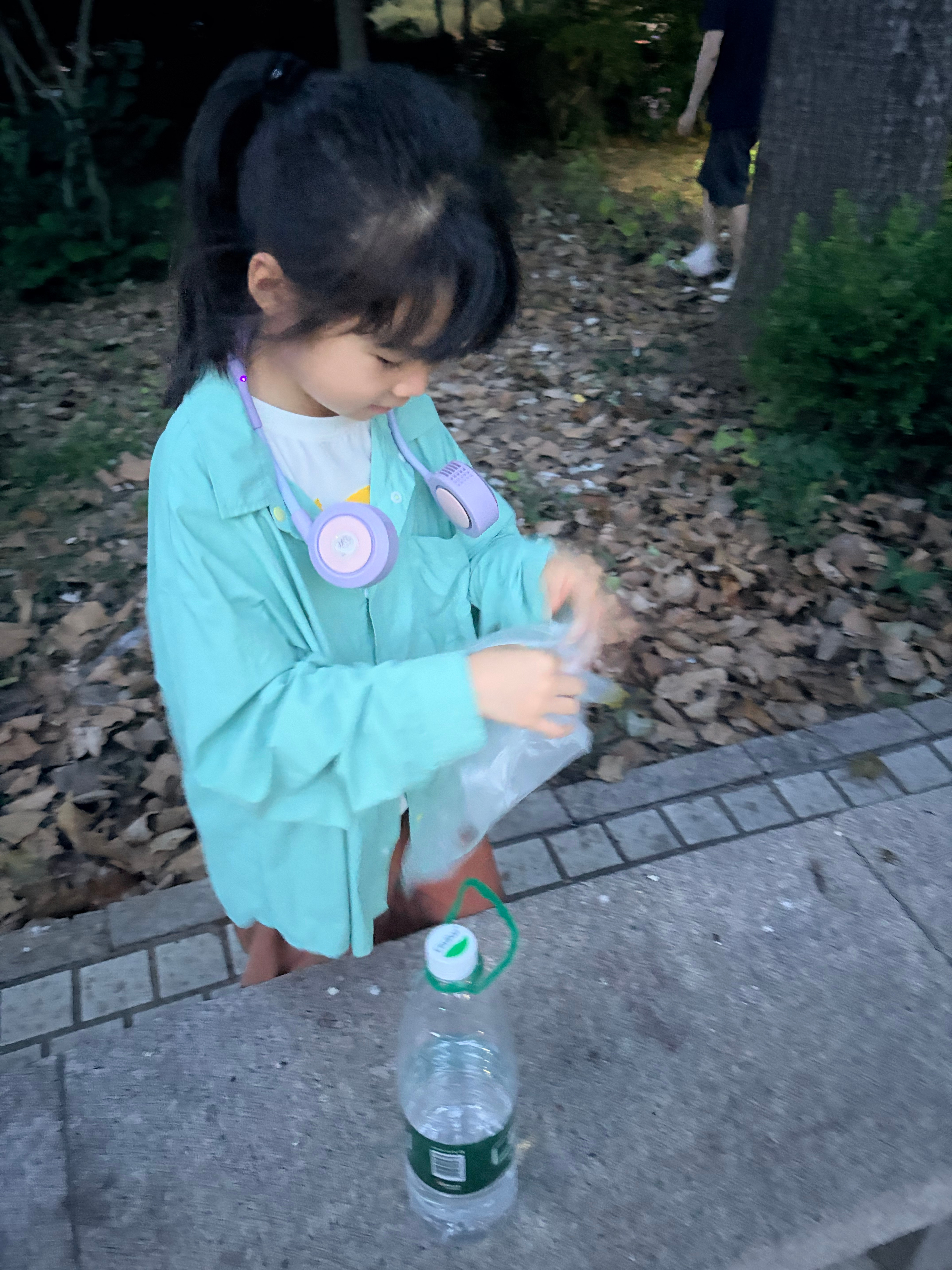 今年份的捉知了猴活动 