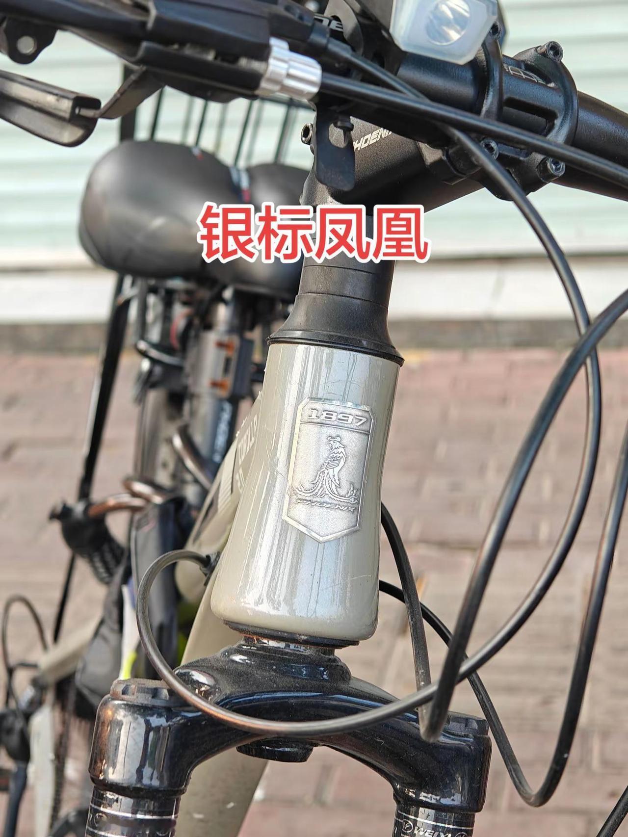 哪个才是正品凤凰自行车？路边的凤凰自行车，凤凰LOGO五花八门，哪个才是正宗凤凰