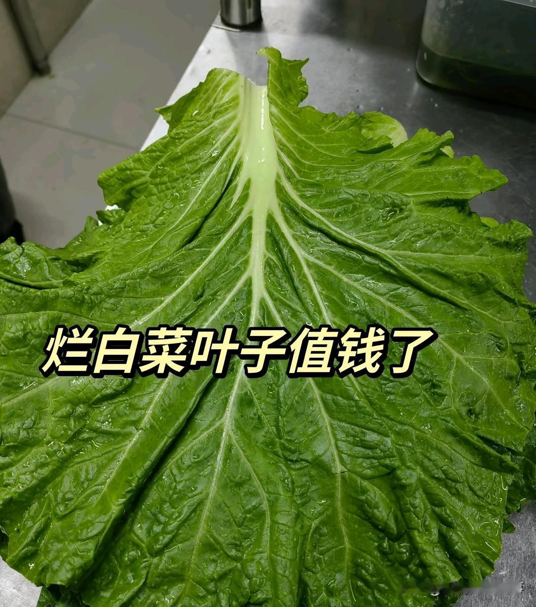 你要问我这几天在忙什么，我会告诉你，当然是忙着给友友们发的菜叶子评论加点红心了。