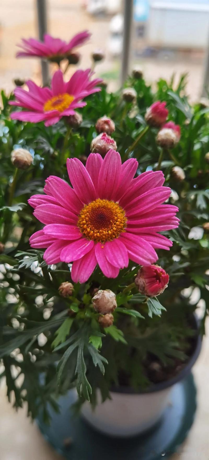 如果一个男人五十岁了，存款只有两万，还每天发信息说爱你，千万不要信他，他说他会努