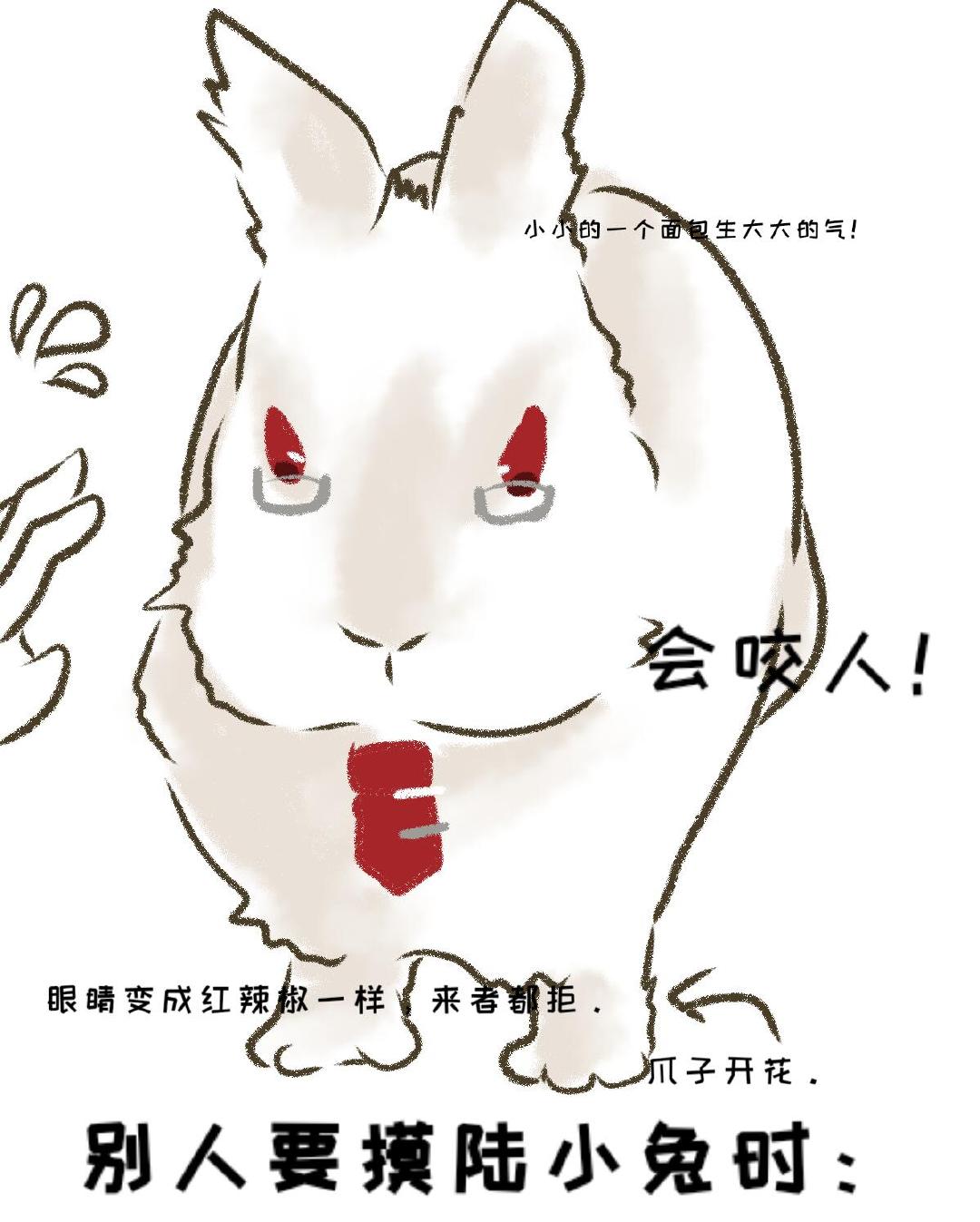 陆小兔忘本实录（陆沉兔塑） 