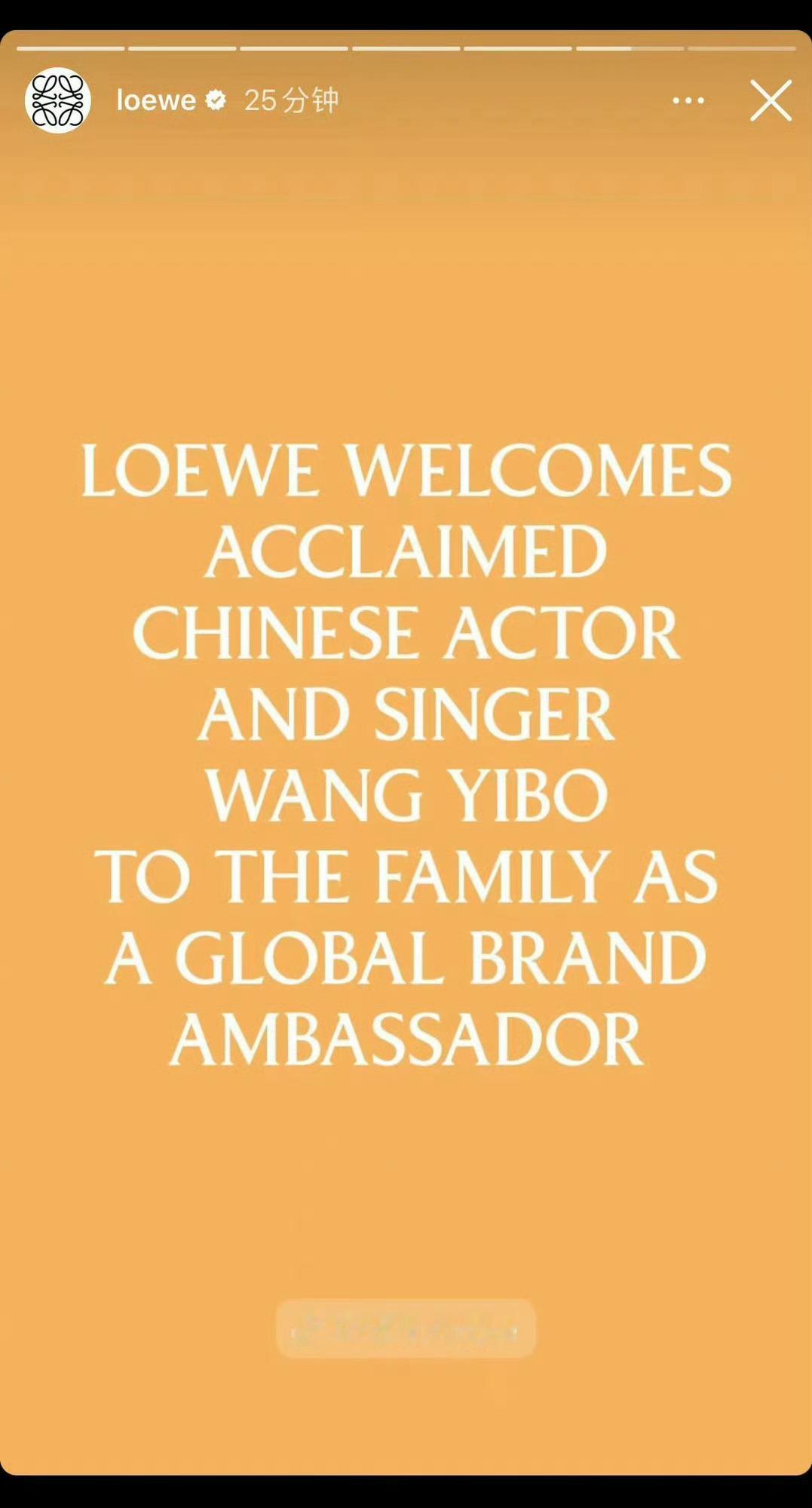 #LOEWE全球品牌代言人王一博#LOEWE评价王一博：“中国著名演员和歌手王一
