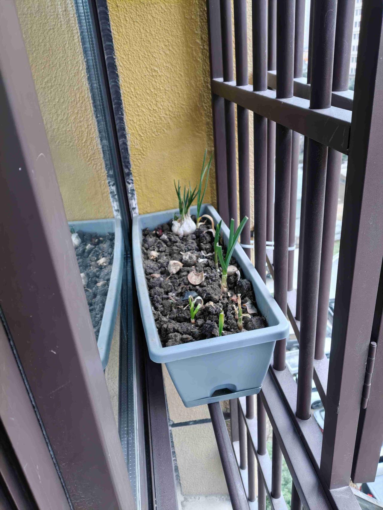 带定位晒今日生活 ，天气多云，挺舒服的。我这状态嘛，就是疯狂期待暴富。谁不想钱包