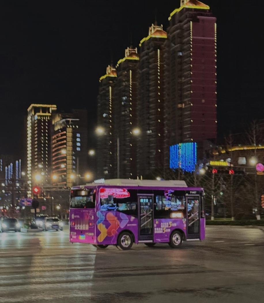 最近出门坐公交，发现杭州的公交车全都变小了，不再是以前那种长长的大车，换成了小巧