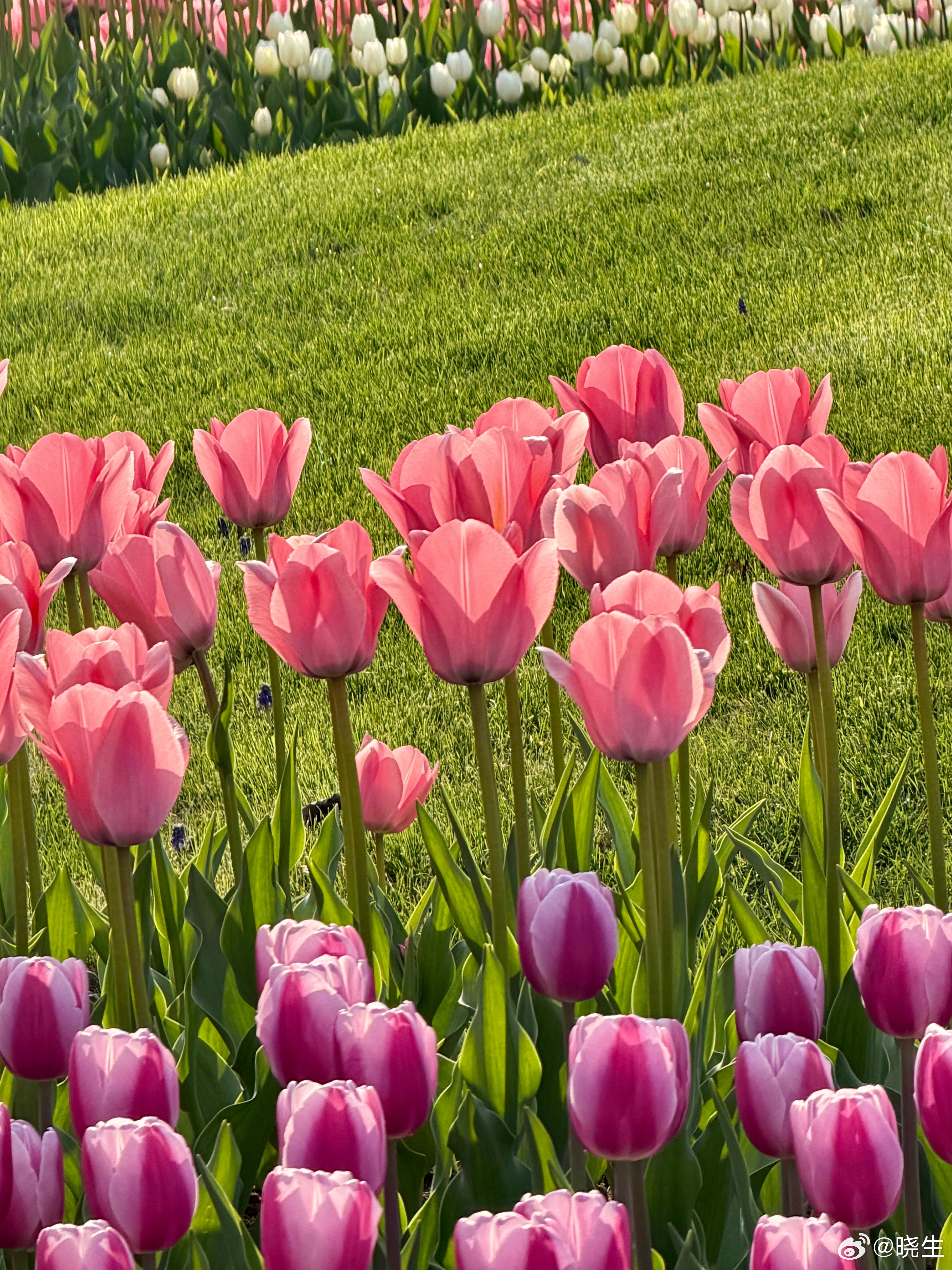 很多人问我幸福的关系到底是什么样？我见过太多情侣和夫妻，一开口就是“我们是不是不