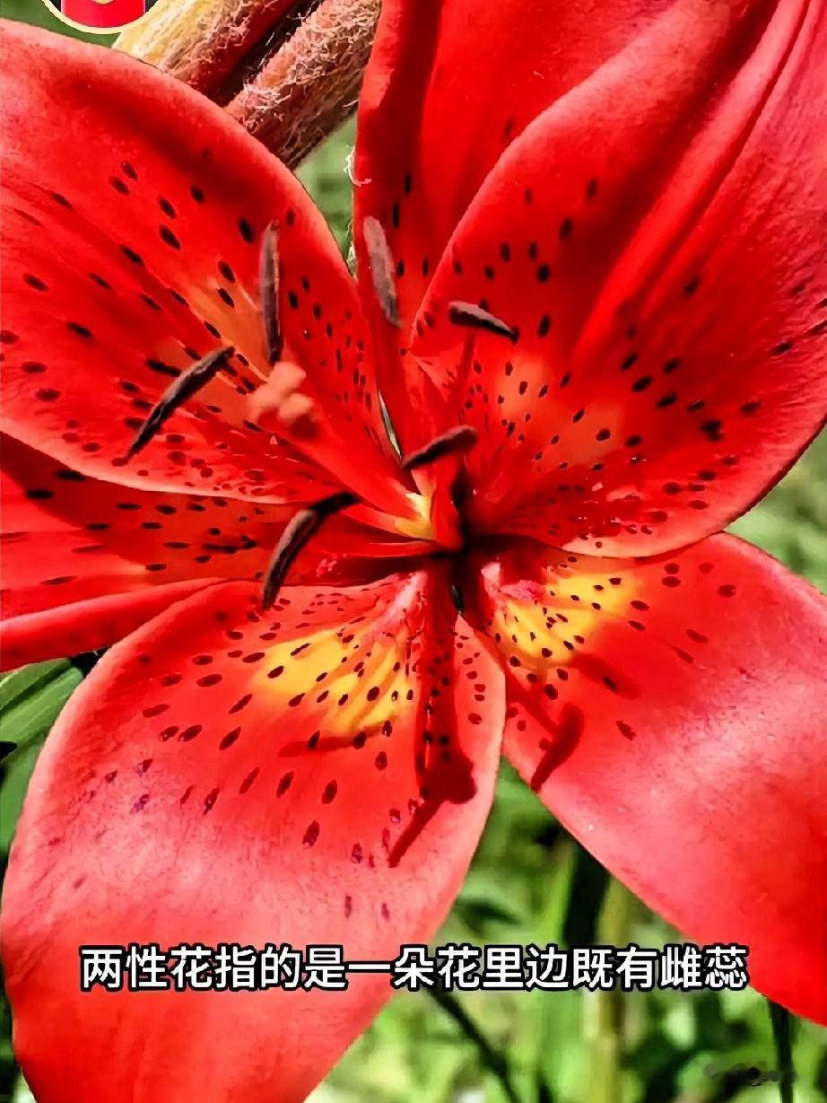 人这一辈子，千万别为了片刻的痛快，搭上自己的性命。
成年人，一定要懂得节制夫妻生