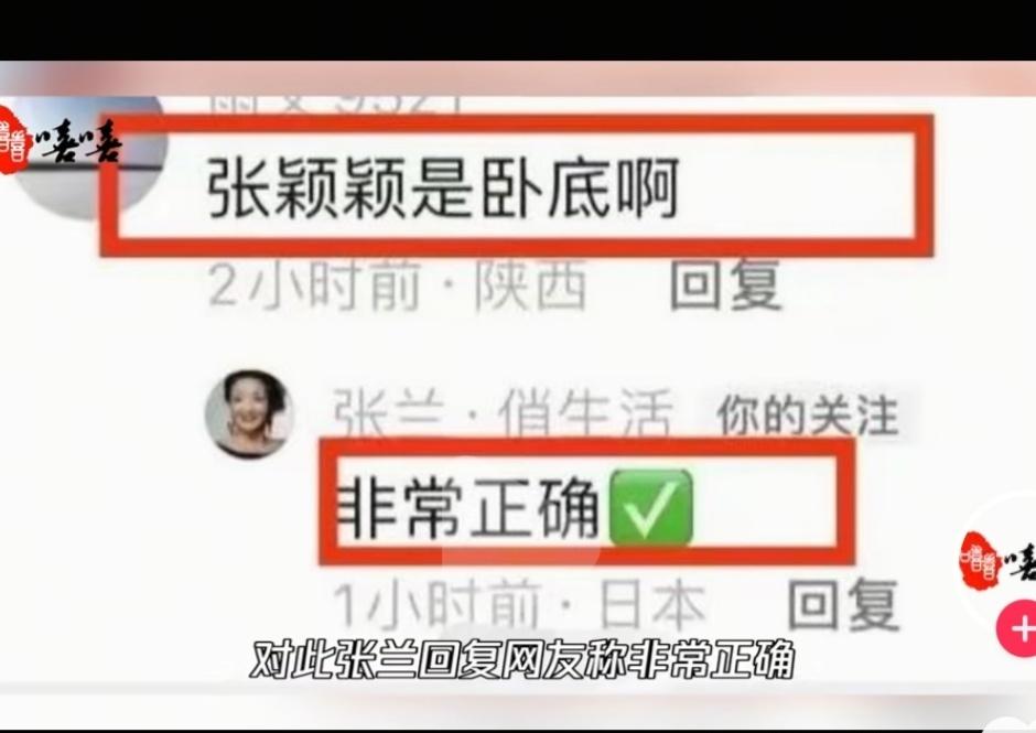 原来造谣张颖颖是大S派来的卧底这个谣言，是得到张兰认可的呀！这是她回复该网民的留