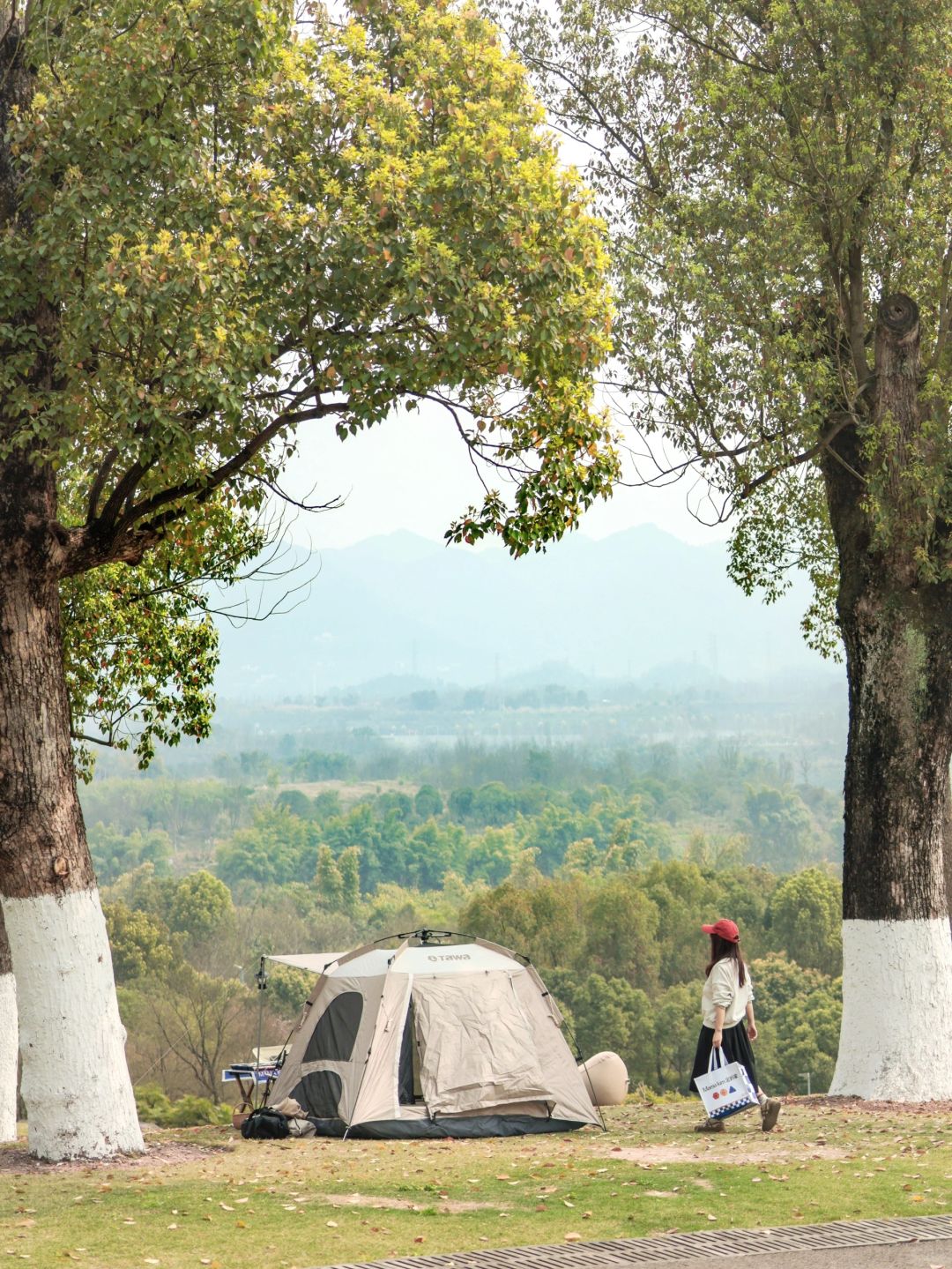 重庆免费露营地🏕️独自承包一个山头的快乐