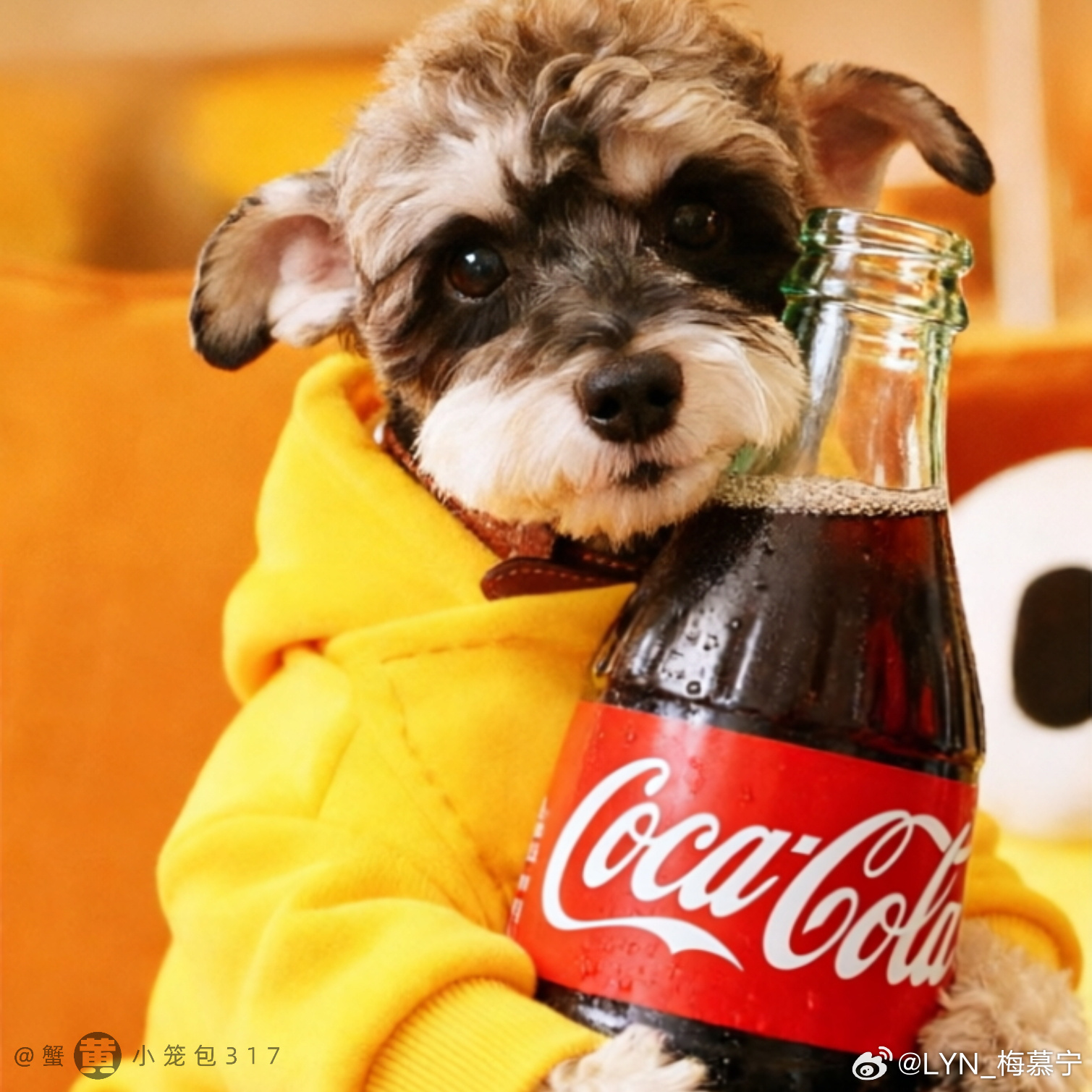 4.4 周六 . 🌻3️⃣三贴满换85. 网页链接（97）86. 网页链接（9