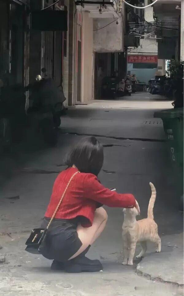 我想是猫！ ​​​