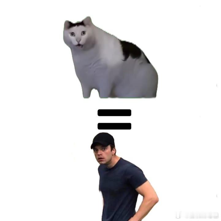 一模一样哈哈哈哈[doge] ​​​