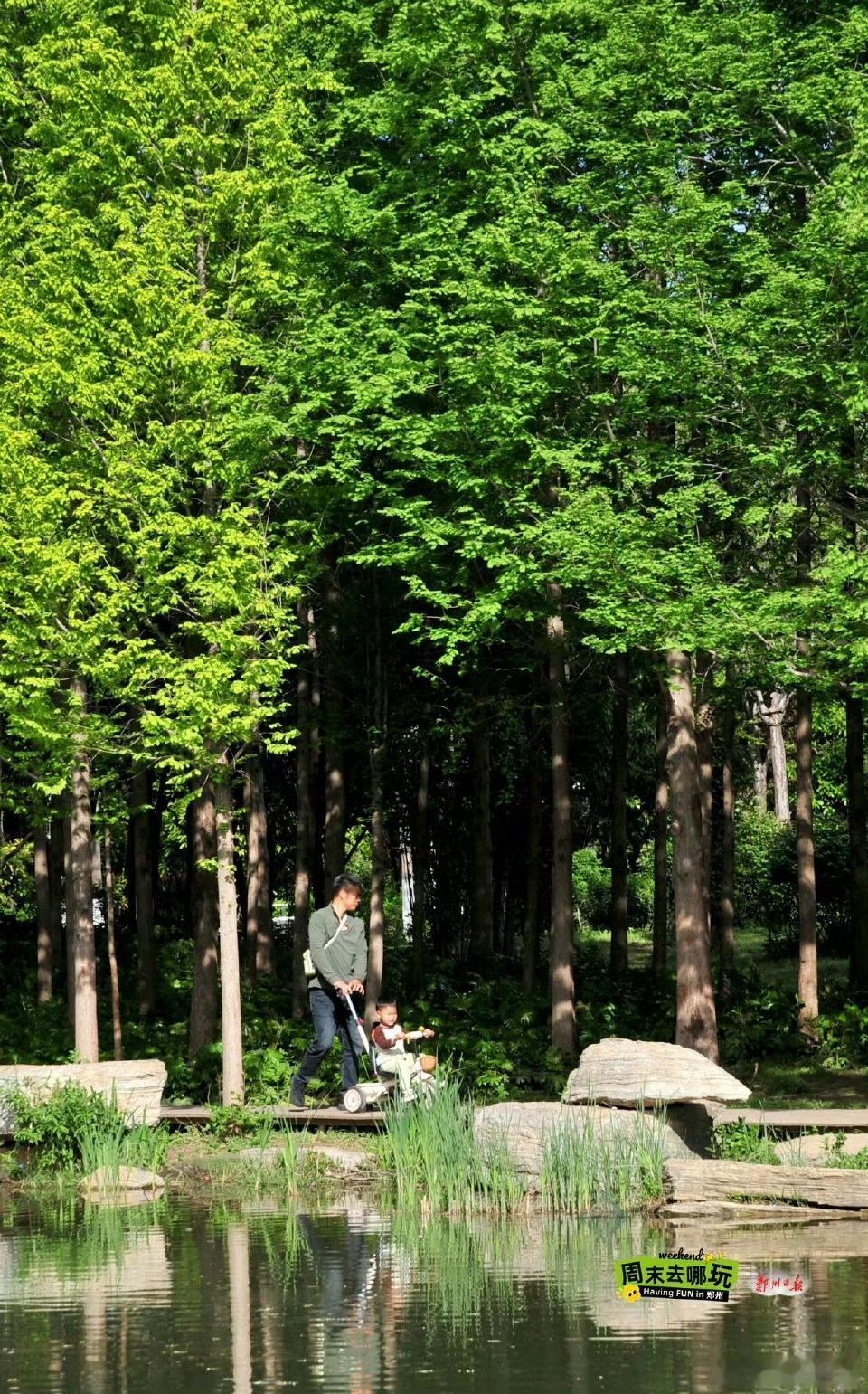 【在郑州找到了“全能型”公园：遛娃、野餐、约会一键全包】 🌿谁说郑州没有“小江