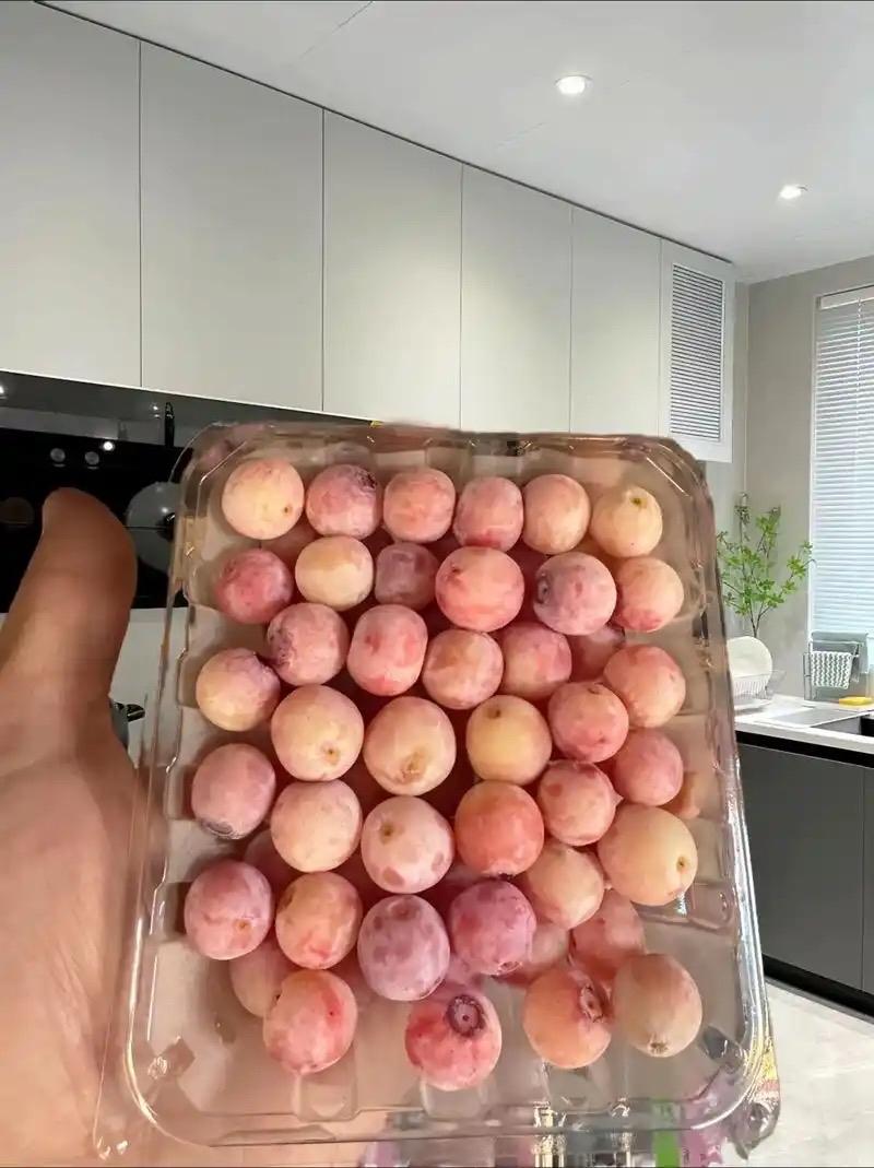 4月17日，粉色蓝莓因梦幻外观被炒至400元1斤，主要为“红粉佳人”等杂交品种，